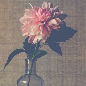 Meet your Posher, Cj